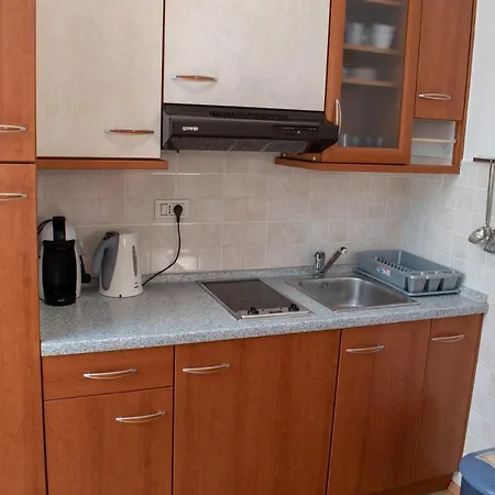 Apartma Gojzar *